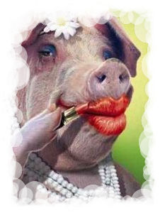pig